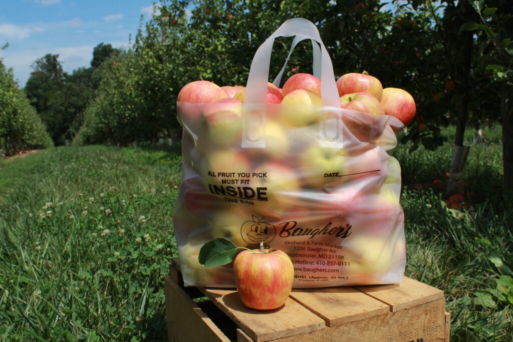 honeycrisp apple bag