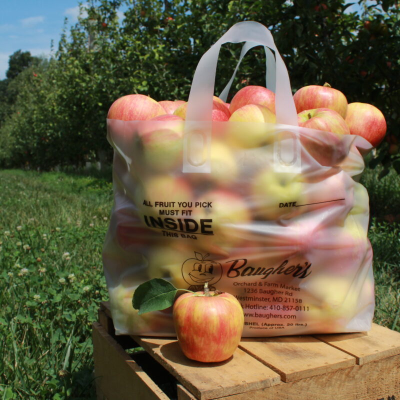 honeycrisp apple bag