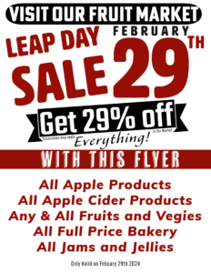 leap day sale poster