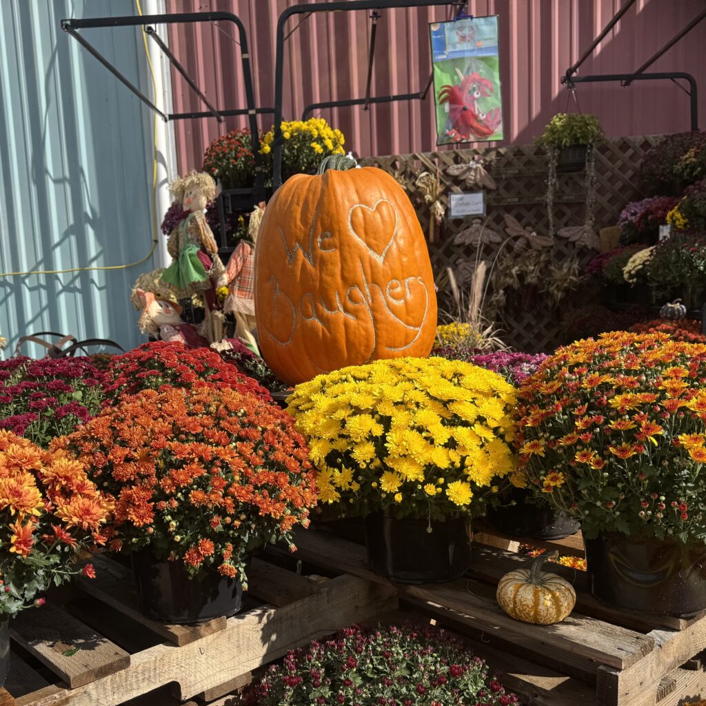 mums with we heart baughers pumpkin